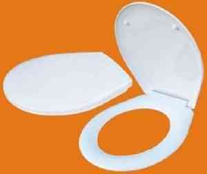 Сиденье для унитаза УКЛАД  СУ 72.01.00    "ВИКТОРИЯ" Roca Group    (г. Псков)